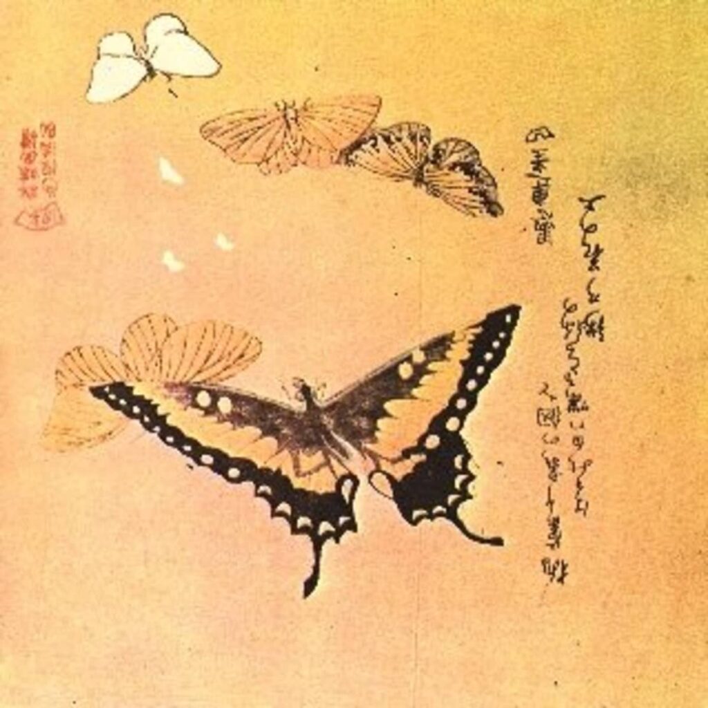 what-do-butterflies-symbolize-in-japan